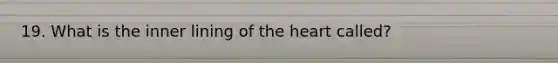 19. What is the inner lining of the heart called?