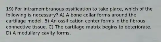 19) For intramembranous ossification to take place, which of the following is necessary? A) A bone collar forms around the cartilage model. B) An ossification center forms in the fibrous connective tissue. C) The cartilage matrix begins to deteriorate. D) A medullary cavity forms.