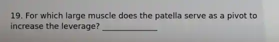 19. For which large muscle does the patella serve as a pivot to increase the leverage? ______________