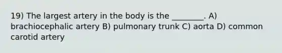 19) The largest artery in the body is the ________. A) brachiocephalic artery B) pulmonary trunk C) aorta D) common carotid artery