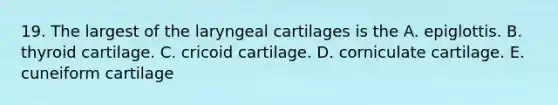 19. The largest of the laryngeal cartilages is the A. epiglottis. B. thyroid cartilage. C. cricoid cartilage. D. corniculate cartilage. E. cuneiform cartilage