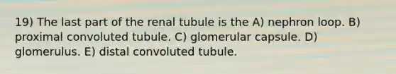 19) The last part of the renal tubule is the A) nephron loop. B) proximal convoluted tubule. C) glomerular capsule. D) glomerulus. E) distal convoluted tubule.