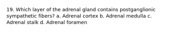 19. Which layer of the adrenal gland contains postganglionic sympathetic fibers? a. Adrenal cortex b. Adrenal medulla c. Adrenal stalk d. Adrenal foramen