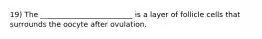 19) The _________________________ is a layer of follicle cells that surrounds the oocyte after ovulation.