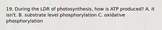 19. During the LDR of photosynthesis, how is ATP produced? A. it isn't. B. substrate level phosphorylation C. oxidative phosphorylation