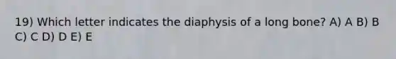 19) Which letter indicates the diaphysis of a long bone? A) A B) B C) C D) D E) E