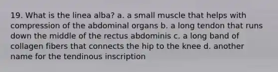 19. What is the linea alba? a. a small muscle that helps with compression of the abdominal organs b. a long tendon that runs down the middle of the rectus abdominis c. a long band of collagen fibers that connects the hip to the knee d. another name for the tendinous inscription