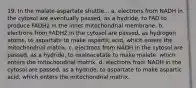 19. In the malate-aspartate shuttle... a. electrons from NADH in the cytosol are eventually passed, as a hydride, to FAD to produce FADH2 in the inner mitochondrial membrane. b. electrons from FADH2 in the cytosol are passed, as hydrogen atoms, to aspartate to make aspartic acid, which enters the mitochondrial matrix. c. electrons from NADH in the cytosol are passed, as a hydride, to oxaloacetate to make malate, which enters the mitochondrial matrix. d. electrons from NADH in the cytosol are passed, as a hydride, to aspartate to make aspartic acid, which enters the mitochondrial matrix.