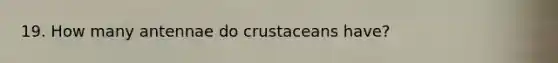 19. How many antennae do crustaceans have?