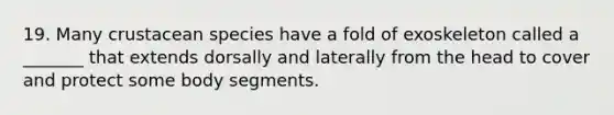 19. Many crustacean species have a fold of exoskeleton called a _______ that extends dorsally and laterally from the head to cover and protect some body segments.