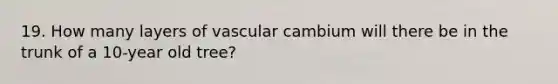 19. How many layers of vascular cambium will there be in the trunk of a 10-year old tree?