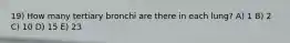 19) How many tertiary bronchi are there in each lung? A) 1 B) 2 C) 10 D) 15 E) 23