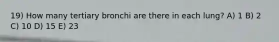 19) How many tertiary bronchi are there in each lung? A) 1 B) 2 C) 10 D) 15 E) 23
