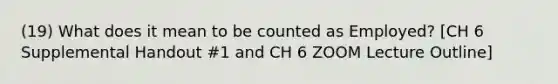 (19) What does it mean to be counted as Employed? [CH 6 Supplemental Handout #1 and CH 6 ZOOM Lecture Outline]