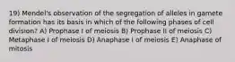 19) Mendel's observation of the segregation of alleles in gamete formation has its basis in which of the following phases of cell division? A) Prophase I of meiosis B) Prophase II of meiosis C) Metaphase I of meiosis D) Anaphase I of meiosis E) Anaphase of mitosis