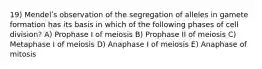 19) Mendelʹs observation of the segregation of alleles in gamete formation has its basis in which of the following phases of cell division? A) Prophase I of meiosis B) Prophase II of meiosis C) Metaphase I of meiosis D) Anaphase I of meiosis E) Anaphase of mitosis