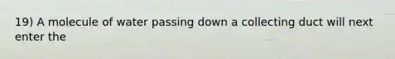 19) A molecule of water passing down a collecting duct will next enter the
