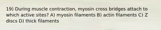 19) During muscle contraction, myosin cross bridges attach to which active sites? A) myosin filaments B) actin filaments C) Z discs D) thick filaments