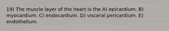 19) The muscle layer of the heart is the A) epicardium. B) myocardium. C) endocardium. D) visceral pericardium. E) endothelium.