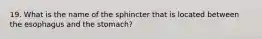 19. What is the name of the sphincter that is located between the esophagus and the stomach?