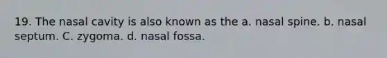 19. The nasal cavity is also known as the a. nasal spine. b. nasal septum. C. zygoma. d. nasal fossa.