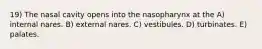 19) The nasal cavity opens into the nasopharynx at the A) internal nares. B) external nares. C) vestibules. D) turbinates. E) palates.