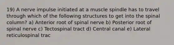 19) A nerve impulse initiated at a muscle spindle has to travel through which of the following structures to get into the spinal column? a) Anterior root of spinal nerve b) Posterior root of spinal nerve c) Tectospinal tract d) Central canal e) Lateral reticulospinal trac