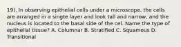 19). In observing epithelial cells under a microscope, the cells are arranged in a singte layer and look tall and narrow, and the nucleus is located to the basal side of the cel. Name the type of epithelial tissue? A. Columnar B. Stratified C. Squamous D. Transitional