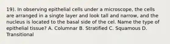 19). In observing epithelial cells under a microscope, the cells are arranged in a singte layer and look tall and narrow, and the nucleus is located to the basal side of the cel. Name the type of epithelial tissue? A. Columnar B. Stratified C. Squamous D. Transitional