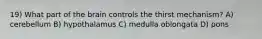 19) What part of the brain controls the thirst mechanism? A) cerebellum B) hypothalamus C) medulla oblongata D) pons