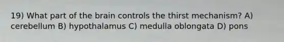 19) What part of the brain controls the thirst mechanism? A) cerebellum B) hypothalamus C) medulla oblongata D) pons