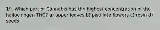 19. Which part of Cannabis has the highest concentration of the hallucinogen THC? a) upper leaves b) pistillate flowers c) resin d) seeds