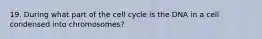 19. During what part of the cell cycle is the DNA in a cell condensed into chromosomes?