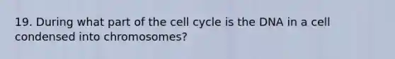 19. During what part of the cell cycle is the DNA in a cell condensed into chromosomes?