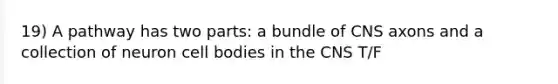 19) A pathway has two parts: a bundle of CNS axons and a collection of neuron cell bodies in the CNS T/F