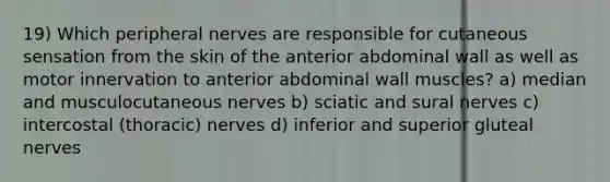 19) Which peripheral nerves are responsible for cutaneous sensation from the skin of the anterior abdominal wall as well as motor innervation to anterior abdominal wall muscles? a) median and musculocutaneous nerves b) sciatic and sural nerves c) intercostal (thoracic) nerves d) inferior and superior gluteal nerves