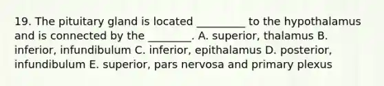 19. The pituitary gland is located _________ to the hypothalamus and is connected by the ________. A. superior, thalamus B. inferior, infundibulum C. inferior, epithalamus D. posterior, infundibulum E. superior, pars nervosa and primary plexus