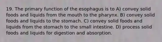 19. The primary function of <a href='https://www.questionai.com/knowledge/kSjVhaa9qF-the-esophagus' class='anchor-knowledge'>the esophagus</a> is to A) convey solid foods and liquids from <a href='https://www.questionai.com/knowledge/krBoWYDU6j-the-mouth' class='anchor-knowledge'>the mouth</a> to <a href='https://www.questionai.com/knowledge/ktW97n6hGJ-the-pharynx' class='anchor-knowledge'>the pharynx</a>. B) convey solid foods and liquids to the stomach. C) convey solid foods and liquids from the stomach to the small intestine. D) process solid foods and liquids for digestion and absorption.