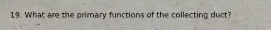 19. What are the primary functions of the collecting duct?