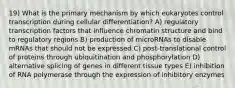 19) What is the primary mechanism by which eukaryotes control transcription during cellular differentiation? A) regulatory transcription factors that influence chromatin structure and bind to regulatory regions B) production of microRNAs to disable mRNAs that should not be expressed C) post-translational control of proteins through ubiquitination and phosphorylation D) alternative splicing of genes in different tissue types E) inhibition of RNA polymerase through the expression of inhibitory enzymes