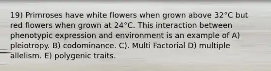 19) Primroses have white flowers when grown above 32°C but red flowers when grown at 24°C. This interaction between phenotypic expression and environment is an example of A) pleiotropy. B) codominance. C). Multi Factorial D) multiple allelism. E) polygenic traits.