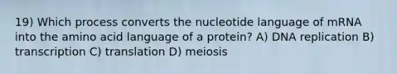 19) Which process converts the nucleotide language of mRNA into the amino acid language of a protein? A) DNA replication B) transcription C) translation D) meiosis