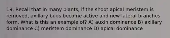 19. Recall that in many plants, if the shoot apical meristem is removed, axillary buds become active and new lateral branches form. What is this an example of? A) auxin dominance B) axillary dominance C) meristem dominance D) apical dominance