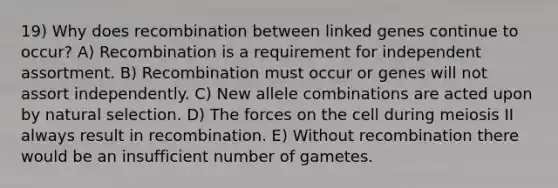 19) Why does recombination between linked genes continue to occur? A) Recombination is a requirement for independent assortment. B) Recombination must occur or genes will not assort independently. C) New allele combinations are acted upon by natural selection. D) The forces on the cell during meiosis II always result in recombination. E) Without recombination there would be an insufficient number of gametes.