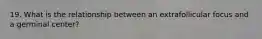19. What is the relationship between an extrafollicular focus and a germinal center?