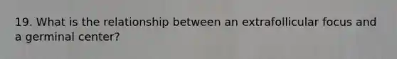 19. What is the relationship between an extrafollicular focus and a germinal center?