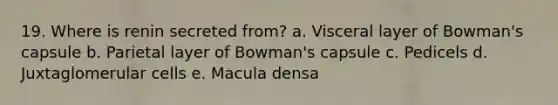 19. Where is renin secreted from? a. Visceral layer of Bowman's capsule b. Parietal layer of Bowman's capsule c. Pedicels d. Juxtaglomerular cells e. Macula densa