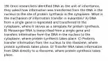 19) Once researchers identified DNA as the unit of inheritance, they asked how information was transferred from the DNA in the nucleus to the site of protein synthesis in the cytoplasm. What is the mechanism of information transfer in eukarotes? A) DNA from a single gene is replicated and transferred to the cytoplasm, where it serves as a template for protein synthesis. B) Messenger RNA is transcribed from a single gene and transfers information from the DNA in the nucleus to the cytoplasm, where protein synthesis takes place. C) Proteins transfer information from the nucleus to the ribosome, where protein synthesis takes place. D) Transfer RNA takes information from DNA directly to a ribosome, where protein synthesis takes place.