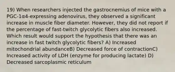 19) When researchers injected the gastrocnemius of mice with a PGC-1α4-expressing adenovirus, they observed a significant increase in muscle fiber diameter. However, they did not report if the percentage of fast-twitch glycolytic fibers also increased. Which result would support the hypothesis that there was an increase in fast twitch glycolytic fibers? A) Increased mitochondrial abundanceB) Decreased force of contractionC) Increased activity of LDH (enzyme for producing lactate) D) Decreased sarcoplasmic reticulum