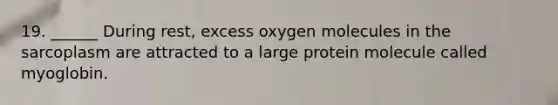 19. ______ During rest, excess oxygen molecules in the sarcoplasm are attracted to a large protein molecule called myoglobin.